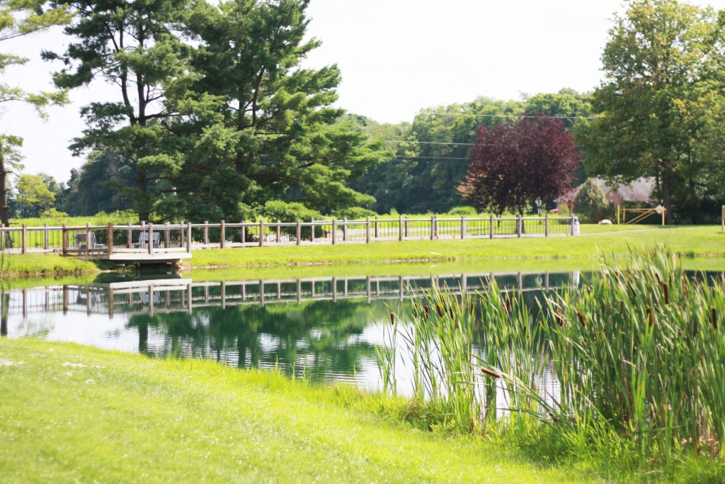 Pond Bridge