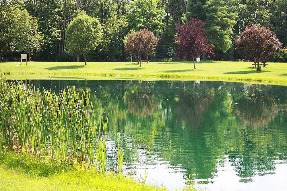 Farmersville / Jackson Township Joint Recreation Park Pond